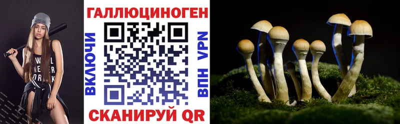 Псилоцибиновые грибы мухоморы  omg   Закаменск 
